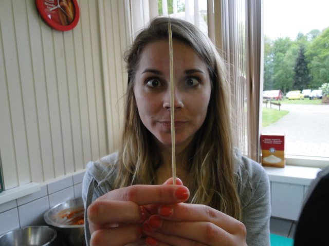HWK 2010 229.jpg